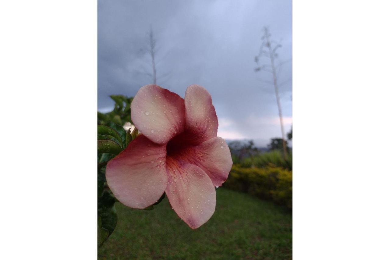 Pousada Chale Terra Viva Carrancas Buitenkant foto