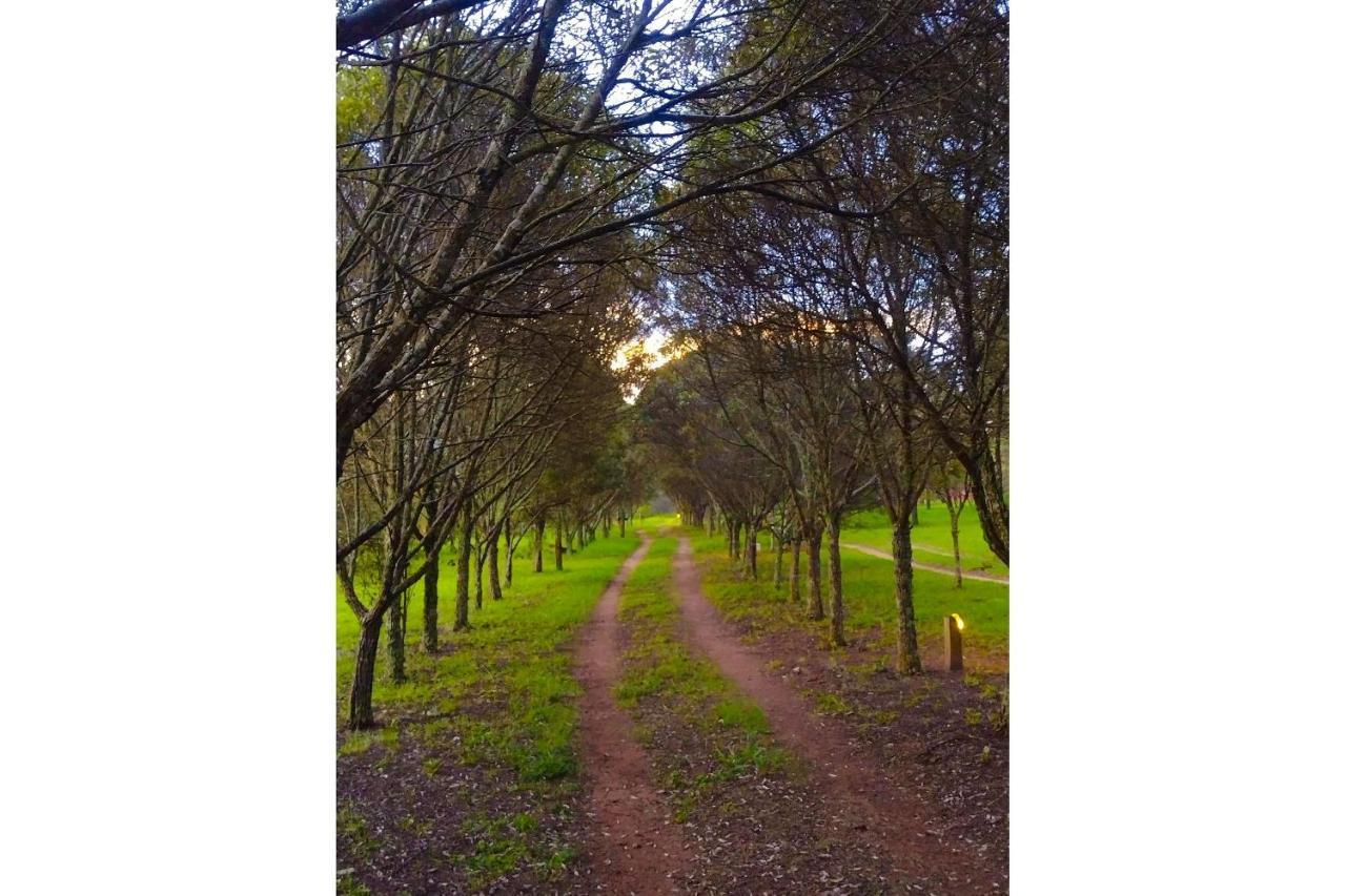 Pousada Chale Terra Viva Carrancas Buitenkant foto