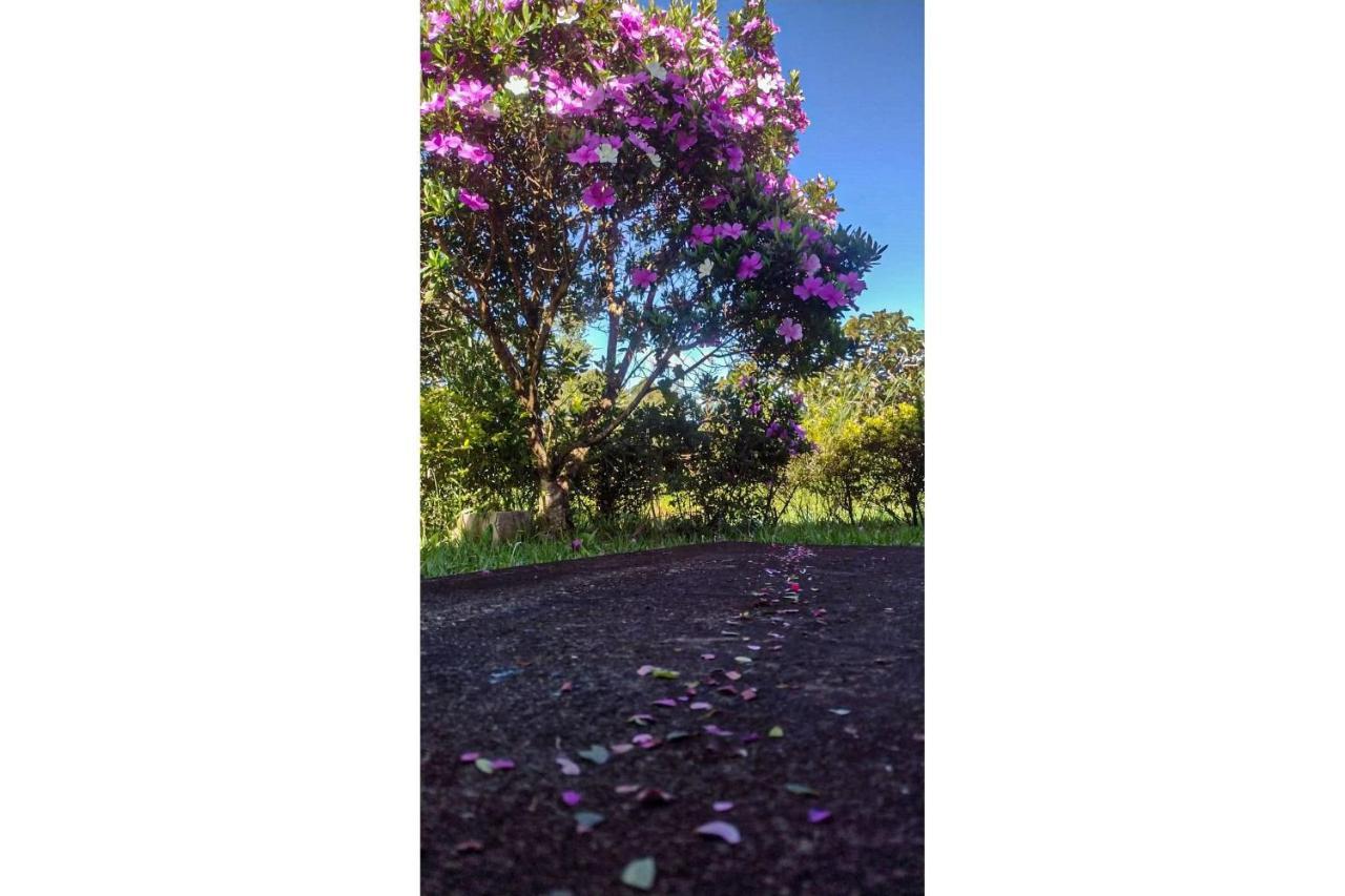 Pousada Chale Terra Viva Carrancas Buitenkant foto